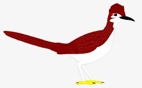 Coyote And The Road Runner Clip Art - Roadrunner Bird Clipart Running, HD Png Download, Free Download