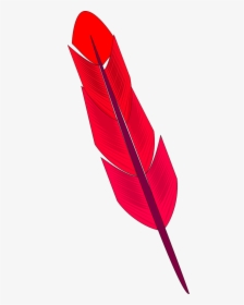 Red Feather - Colorfulness, HD Png Download, Free Download