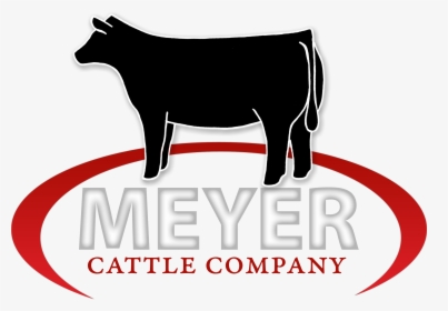 Meyer Cattle - Cattle Company, HD Png Download, Free Download