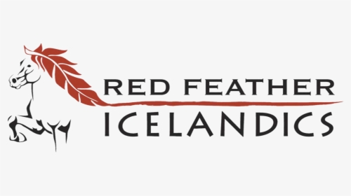 Red Feather Png, Transparent Png, Free Download