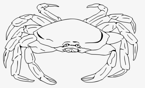 Semi-realistic Crab Clip Arts - Crab Png Black And White, Transparent Png, Free Download