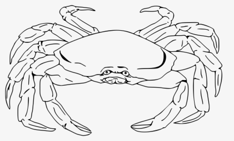 Semi-realistic Crab Clip Arts - Crab Png Black And White, Transparent Png, Free Download