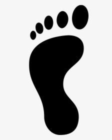 Footprint Clipart Curved Path - Transparent Background Footstep Png, Png Download, Free Download