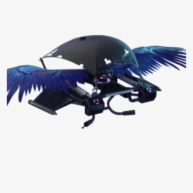 Transparent Raven Feather Png - Feathered Flyer, Png Download, Free Download