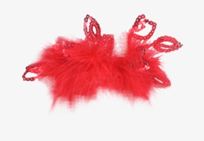 Red Feather Transparent, HD Png Download, Free Download