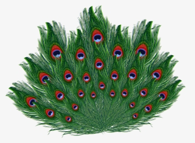 Krishna Images, Emoticon, Peacock Feathers, Krishna - Transparent Peacock Feathers Png, Png Download, Free Download