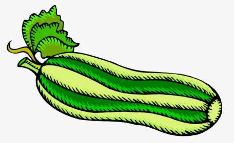 Digger Street Zucchini Clipart - Zucchini Coloring Page, HD Png Download, Free Download