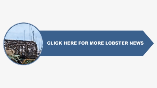 Main Lobster - Graphics, HD Png Download, Free Download
