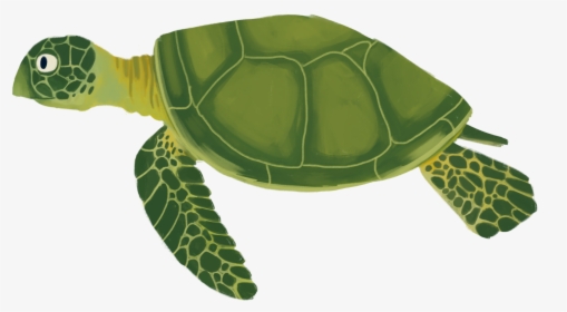 Transparent Sea Plant Png - Sea Turtle Cartoon Transparent, Png Download, Free Download
