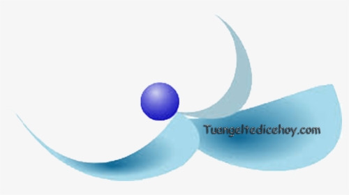Circle, HD Png Download, Free Download