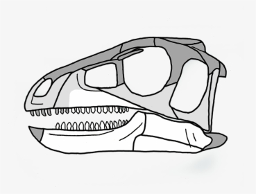 Pisanosaurus Skull, HD Png Download, Free Download