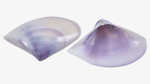 Earrings, HD Png Download, Free Download