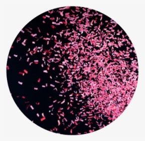 Glitter, HD Png Download, Free Download