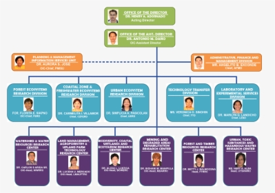 Organizational - Organizational Chart Philippine Government, HD Png Download, Free Download