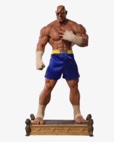 Street Fighter Sagat Action Figures, HD Png Download, Free Download