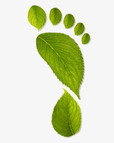 Path Clipart Footprints In Sand - Green Footprint, HD Png Download, Free Download