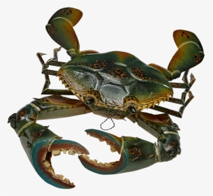 Transparent Blue Crab Png - Chesapeake Blue Crab, Png Download, Free Download