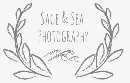 Sea Plant Png, Transparent Png, Free Download
