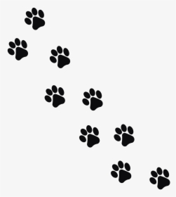 Footprint Animal Cat Png Image Animal Footprints Png - Transparent Cat Paw Print, Png Download, Free Download