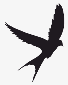 Bird Swallow Tattoo Sparrow The Sims - Scissor Tailed Flycatcher Silhouette, HD Png Download, Free Download