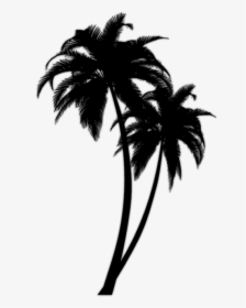 Free Png Download Black Palm Tree Png Images Background - Black Palm Tree Png, Transparent Png, Free Download