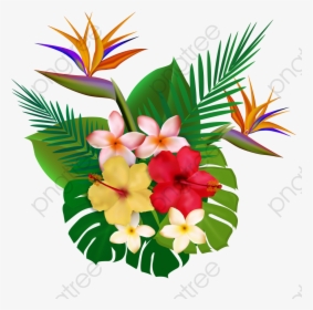 Tropical Plants, Plants Clipart, Flowers Png Transparent - Plantas Tropicales Png, Png Download, Free Download