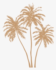 Gold Palm Leaves Png, Transparent Png, Free Download