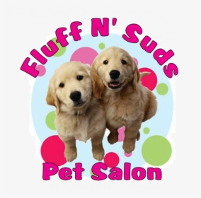 Fluff N Suds Pet Salon In Benton Harbor - Golden Retriever, HD Png Download, Free Download