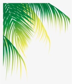 #ftestickers #greenery #tropicalplants #palmtree #border - Coconut Leaves Vector Png, Transparent Png, Free Download
