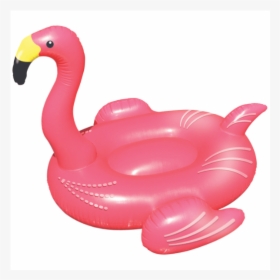 Flamingo Pool Toy, HD Png Download, Free Download