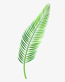 Palm Leaf Png Clip Art - Tropical Leaf Watercolor Png, Transparent Png, Free Download