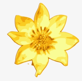 Daisy Clipart Flores - Ethiopian New Year Flower Vector, HD Png Download, Free Download