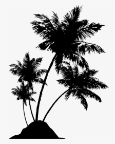 Transparent Palm Trees Clipart - Beach Palm Tree Silhouette, HD Png Download, Free Download