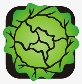Lettuce Clipart - Lettuce Clip Art, HD Png Download, Free Download