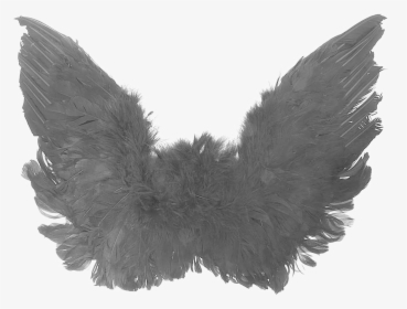 Transparent Angel Wing Png - Transparent Dark Wings Png, Png Download, Free Download
