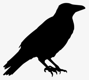 Black Crow Clipart, HD Png Download, Free Download