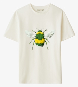 Protect The Species T Shirt Bumble Bee"  Data Max Width="2000"  - Beetle, HD Png Download, Free Download