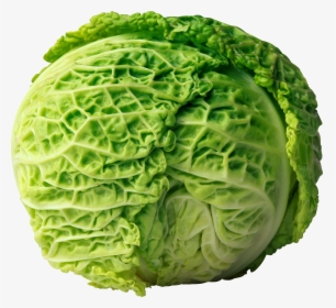 Cabbage Png Image - Cabbage Png, Transparent Png, Free Download