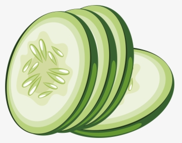 Cucumber Png - Cucumber Slice Vector Png, Transparent Png, Free Download