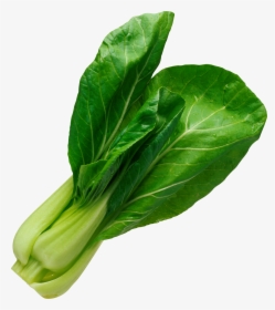 Salad Leaf Png Image - Spinach Png, Transparent Png, Free Download