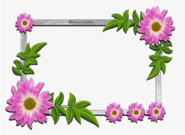 Floral Frame Png - Beautiful Frames For Photos Free Download, Transparent Png, Free Download