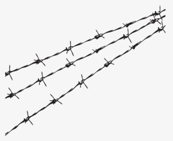 Fence - Transparent Background Barbed Wire Png, Png Download, Free Download