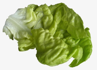 Lettuce, HD Png Download, Free Download