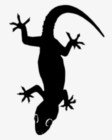 Lizard Clip Art - Lizard Vector Png, Transparent Png, Free Download