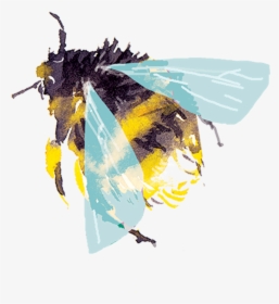 Bee Png Watercolor, Transparent Png, Free Download
