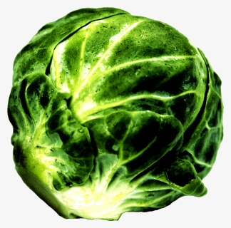 Savoy Cabbage,lettuce,food - Brussel Sprout Png, Transparent Png, Free Download