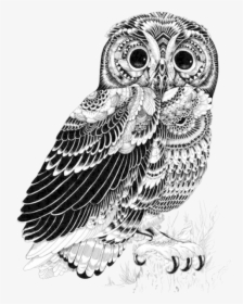 Tumblr, Cool, Draw - Pen And Ink Animal Art, HD Png Download, Free Download