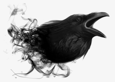 Transparent Ravens Png - Corvo Png, Png Download, Free Download