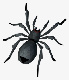 Wolf Spider, HD Png Download, Free Download