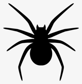 Spider Png Silhouette - Spider Clipart Png, Transparent Png, Free Download